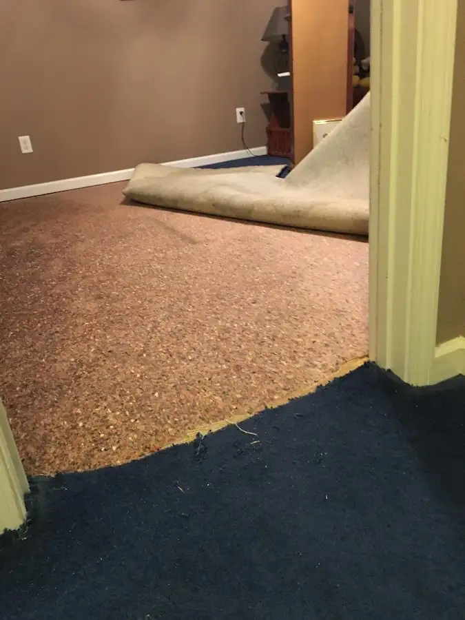 Carpet pad removal revealing water damage during Drying & Dehumidification in Bayville