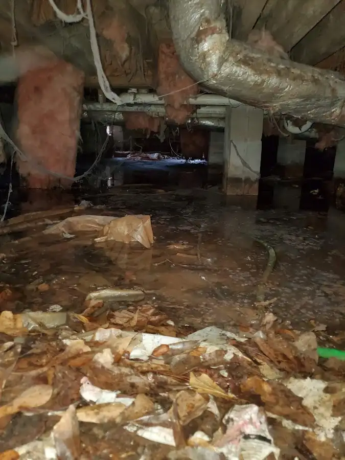 Crawl space flood assessment for Leak Detection & Repair in Bayville