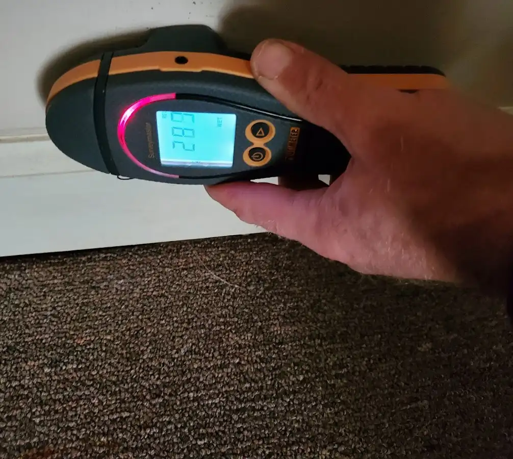 Moisture detection at baseboard during Mold Inspection & Testing in Bayville